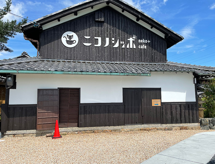 猫カフェ_建物