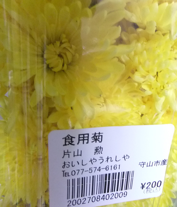 食用菊