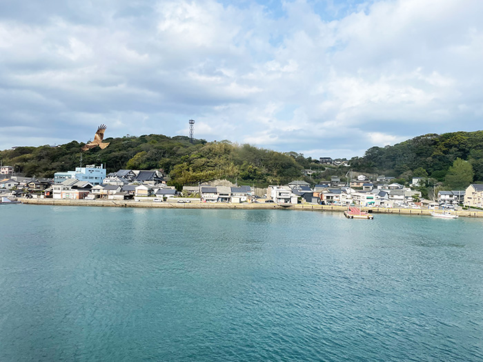 トンビ