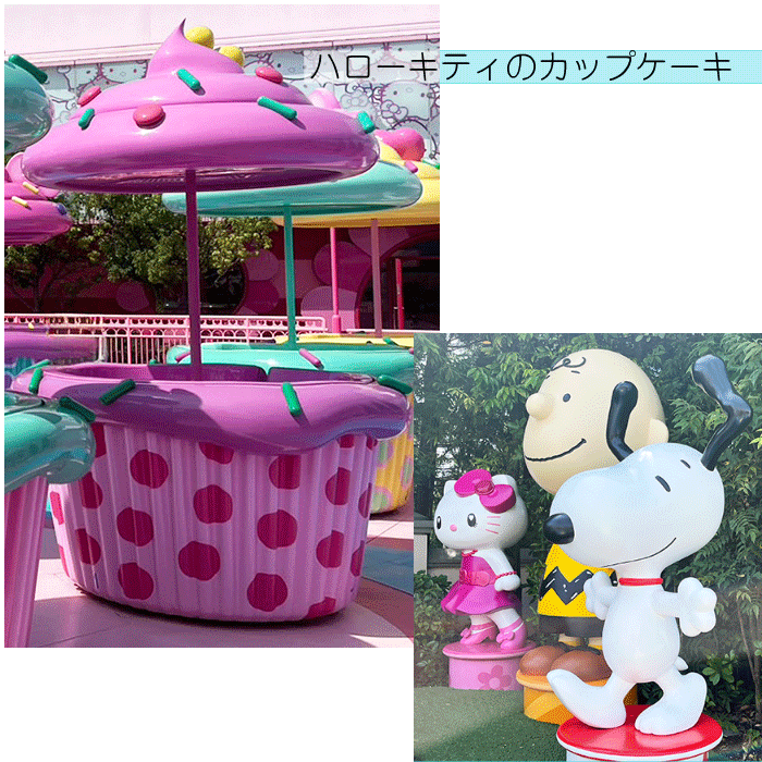 カップ