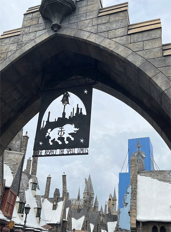 harry-potter